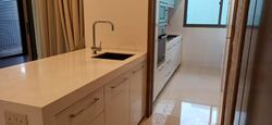 St Patrick's Residences (D15), Apartment #610664551